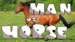 The Man vs Horse Marathon