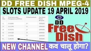 dd free dish New frequency list