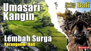 Umasari Kangin Pesona Sawah Asli Bali | Desa Peringsari Karangasem Bali