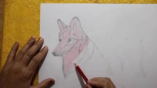 How to draw a wolf head side view simple wolf drawing for beginners