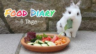 Food Diary|Kohlanfütterung|Bunnys Diary