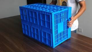 foldable feature plastic crate