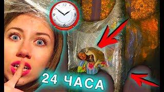 НОЧЬ В ДОМЕ ИЗ ПЛЕНКИ НА ДЕРЕВЕ 24 ЧАСА ЧЕЛЛЕНДЖ  | Elli Di