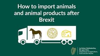 How to import animals and animal products after Brexit