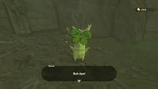 Korok Seed | Fort Hateno #1 | Zelda BOTW