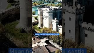 Chateau de Saumur | STUNNING Castles & Chateus To See In France | France Bucket List Destinations