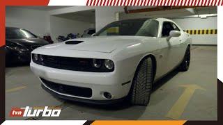 Bity Dodge Challenger wpadł w oko klientowi  | Zawodowi handlarze