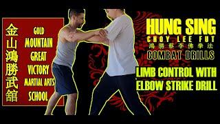 Controlling the limbs drill plus  pull and  elbow strike (Double Kum Na Pull and Elbow strike)