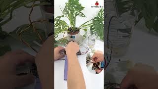 #shorts  Web-Based Irrigation Management System with ESP32 #keyestudio #stem #coding #diy #esp32