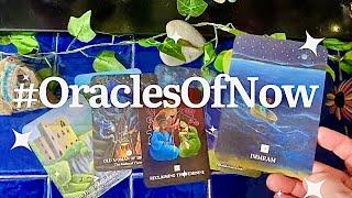 A New Tag & All My Oracles I’m Currently Working With! #OraclesOfNow