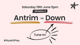 Littlewoods Ireland Camogie Leagues - Division 2 FInal - Antrim v Down