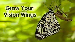 Grow Your Vision Wings Meditation
