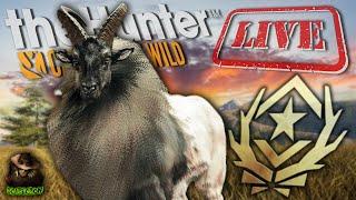 923 Tahr Into The Great One Grind In The Finest Sundarpatan FEED ZONES! Call of the wild