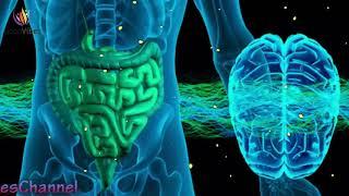 Stomach Colon & Digestion Disorder Treatment  Theta Binaural Beats  Sound Therapy #GV350