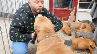 this is how Magnum reacts when he sees his puppies for the first time.