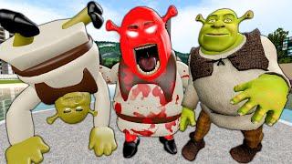 PLAYING AS SUPPER CURSED SHREK 3D SANIC CLONES MEMES in Garry's Mod!