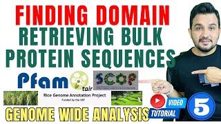 How to find domain and retrieve protein sequences | Genome wide analysis Tutorial 5