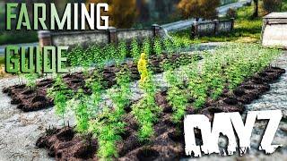 DayZ Farming Guide [2020]