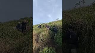 Sabana Gunung Ungaran, Cantik Banget