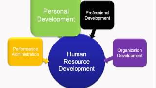 What Is Human Resource Development?