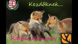 theHunter Call of the Wild (Hun)- Kezdőknek 1.rész