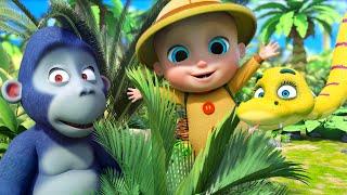 BINGO + Down in the Jungle and more Sing Along Kids Songs and Nursery Rhymes - LooLoo Kids