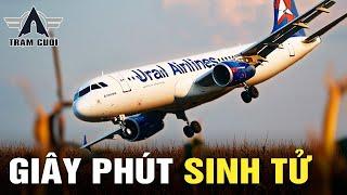 Bị Đàn Chim Bắn Hỏng Động Cơ! Phi Công Lao Máy Bay Xuống Cánh Đồng| 178 Ural Airlines