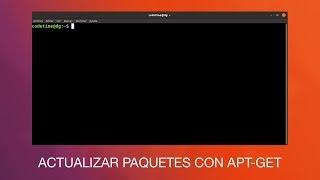 Cómo actualizar paquetes con apt-get en Linux