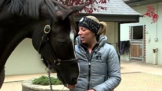 A Day in the Life of Valegro