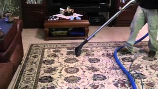 Upholstery cleaning, Area Rug, floor cleaning in Pinellas County, Platinum Floor Care