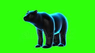 Hologram Bear on green screen animation.stock footage.Shutterstock