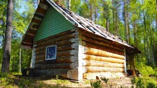 Living Alone in the Forest, Off Grid cabin, Far north