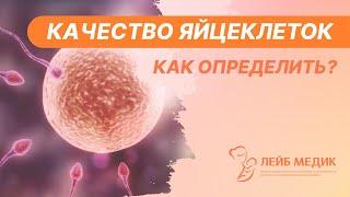  Качество яйцеклеток - как определить?