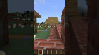 #village distruction #minecraft #minecraftgameplay #unknowngaming