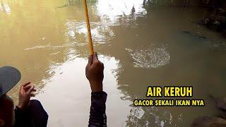 BERKAH !! Mancing di pertemuan sungai dan selokan