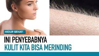 Apa Yang Menyebabkan Tubuh Jadi Merasa Merinding | Hidup Sehat tvOne