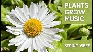 Music for Plants Happiness; Relaxing Music for Plants Healing, Growing and Happiness