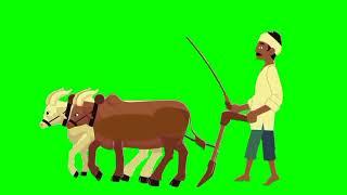 A village man with cow cartoon character green screen video 