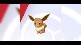 Look at eevee for 30 seconds