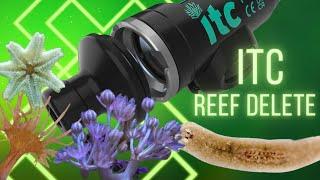 ITC Reef Delete Pest Control