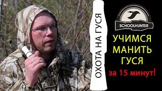 Учимся манить гуся за 15 минут