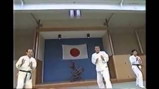 NIPPON KEMPO kakuto 2 日本拳法