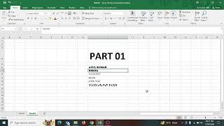 Format  Printer in excel