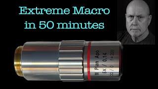 Extreme Macro Photography in 50 minutes - Allan Walls Photography