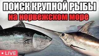 ГДЕ ЖЕ КРУПНАЯ  РЫБА?:)• ПОИСК МОНСТРОВ НА НОРВЕЖСКОМ МОРЕ •  РР4 СТРИМ