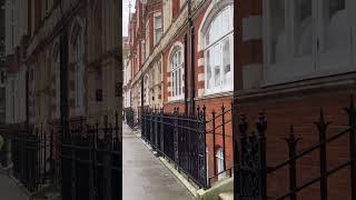 Pretty little Chelsea walk  #londonwalk #thewalkinglondon #4kvirtualwalkingtour