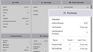 Braze 101: User Profile Breakdown