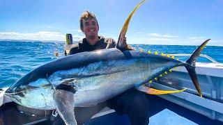 Monster Yellowfin Tuna Fishing
