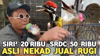 JUAL RUGI BUAT BELI SUSU || POTONGAN HARGA SAMPE RATUSAN RIBU KIOS MANTO TERBARU PB PRAMUKA