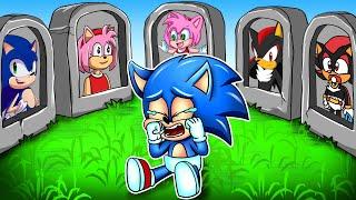 R.I.P All - Baby Sonic Say Goodbye! - Very Sad Story - Sonic the Hedgehog 2 Animation | Crew Paz